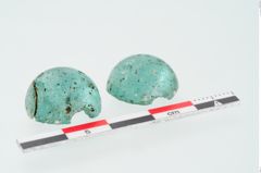 Foto von Glasringperle (NHMW-PRAE-025043)